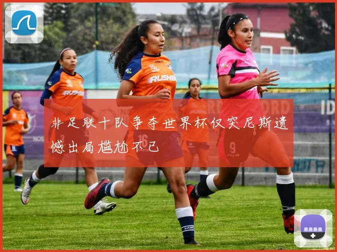 非足联十队争夺世界杯仅突尼斯遗憾出局尴尬不已