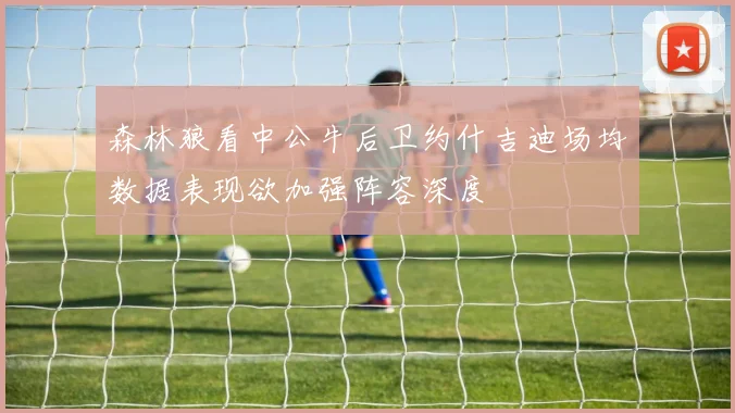 森林狼看中公牛后卫约什吉迪场均数据表现欲加强阵容深度